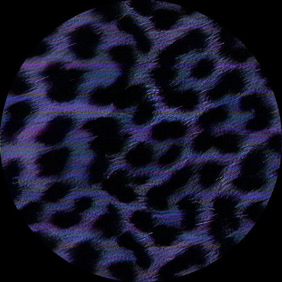 cask3tcl0s3t